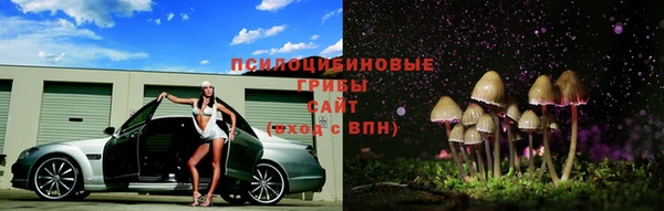 тгк Горняк