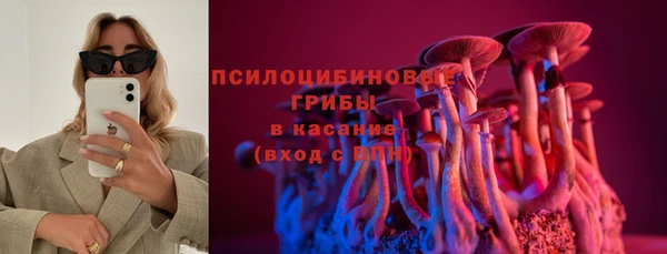 a pvp Горно-Алтайск