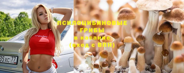 МДМА Горнозаводск