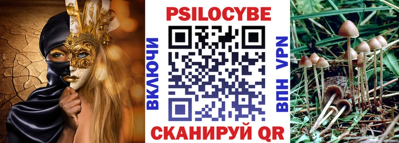 закладка  это формула  omg ССЫЛКА  Псилоцибиновые грибы MAGIC MUSHROOMS  Заречный 